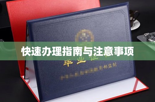 杭锦旗快速办理指南与注意事项